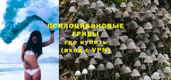 твердый Арсеньев