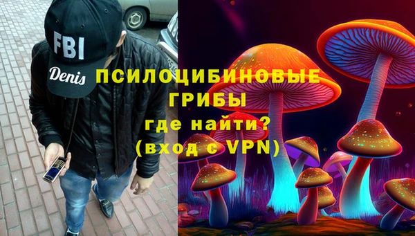 винт Аркадак