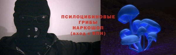 твердый Арсеньев