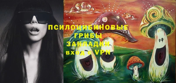 твердый Арсеньев