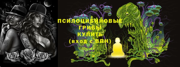 твердый Арсеньев